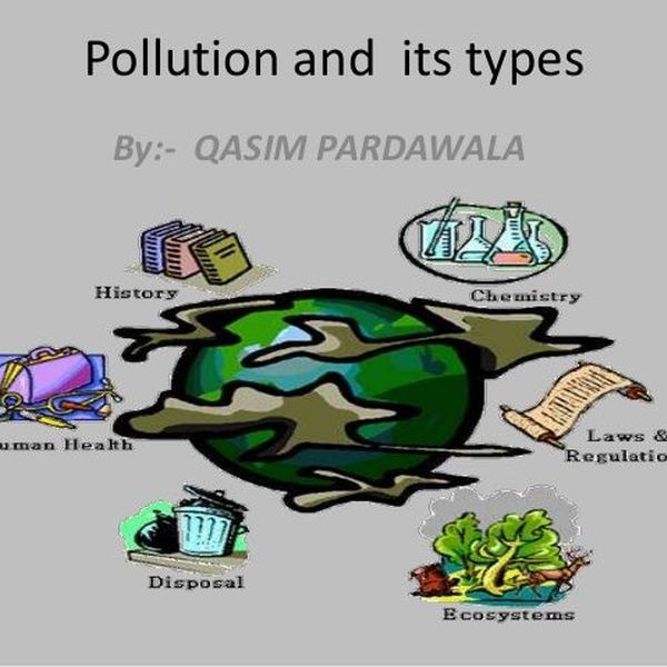 Pollution And Its Types Essay Examples