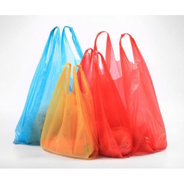 Polythene Bags Essay Examples