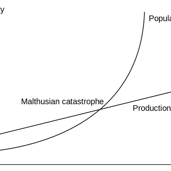 Population Malthus Essay Examples