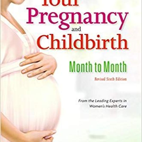 Pregnancy And Childbirth Essay Examples