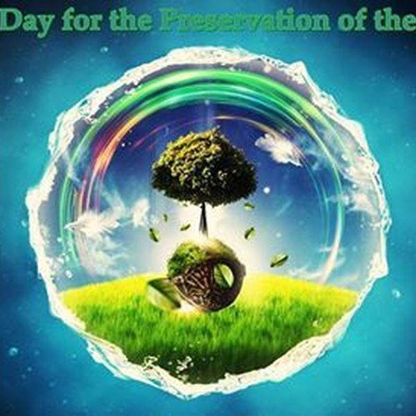 Preservation Of Ozone Layer Essay Examples