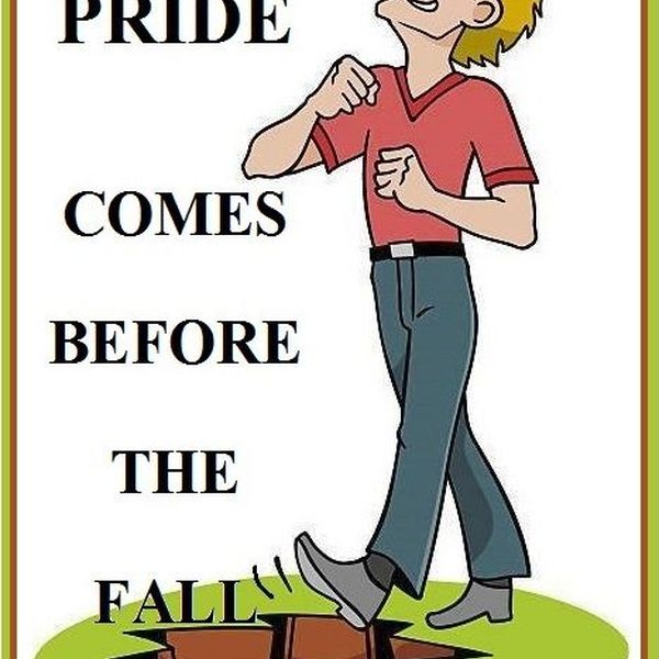 Pride Comes Before A Fall Essay Examples