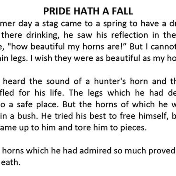 Pride Hath A Fall Essay Examples