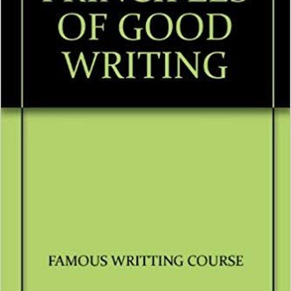 Principles Of Good Writing Essay Examples