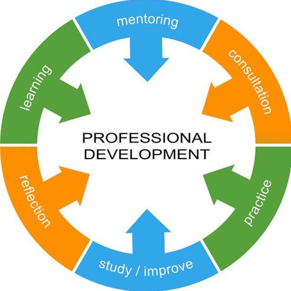 Professional Development For Teachers Essay Examples