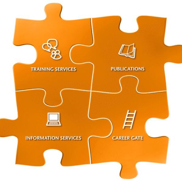 Professional Development In Nursing Essay Examples