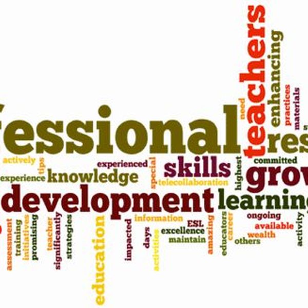 Professional Development Essay Examples