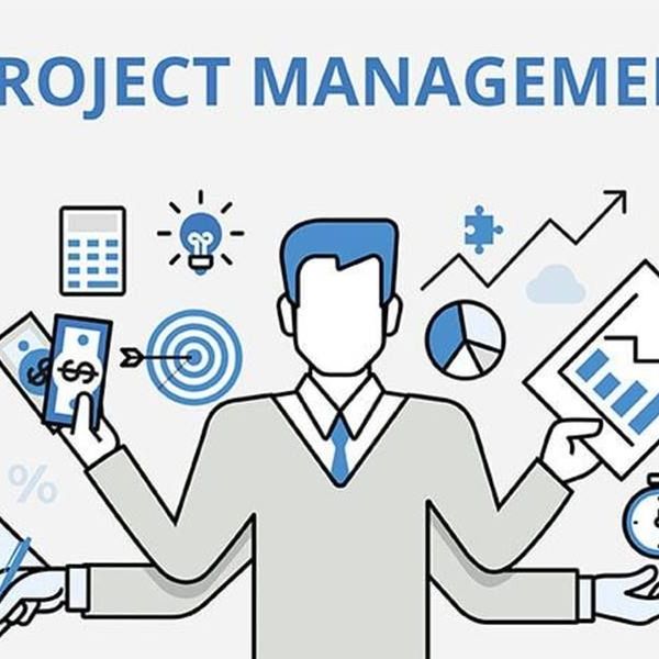 Project Management Essay Examples