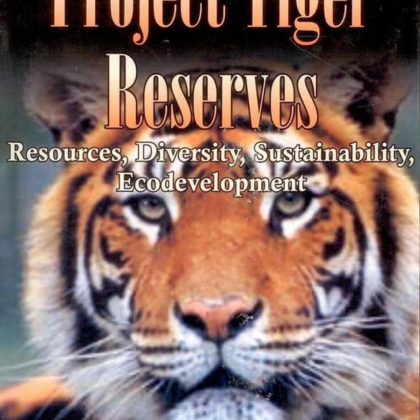 Project Tiger Essay Examples