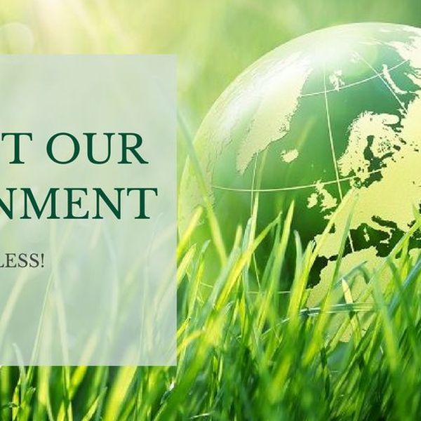 Protect Our Environment Essay Examples