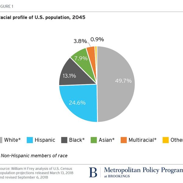 Race And Ethnicity In America Essay Examples