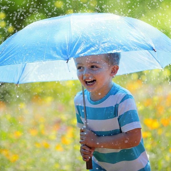 Rainy Day In Summer Essay Examples
