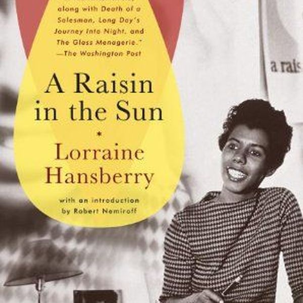 Raisin In The Sun Essay Examples