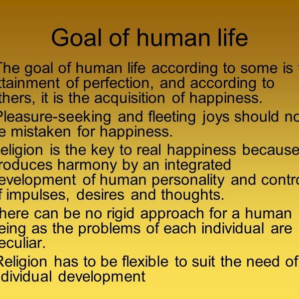 Real Goal Of Human Life Essay Examples