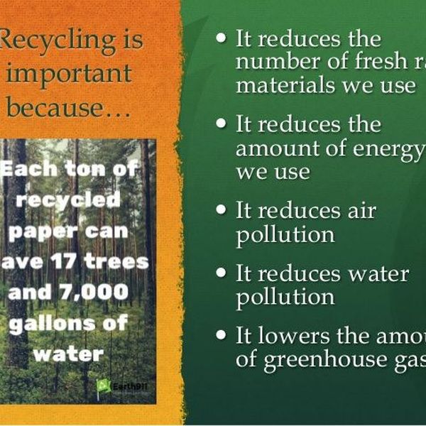 Recycling Is Important Because Essay Examples