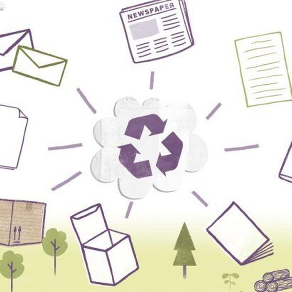 Recycling Of Paper Essay Examples