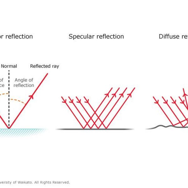 Reflection Of Light Essay Examples