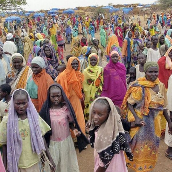 Refugees In Africa Essay Examples