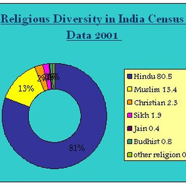 Religious Diversity In India Essay Examples