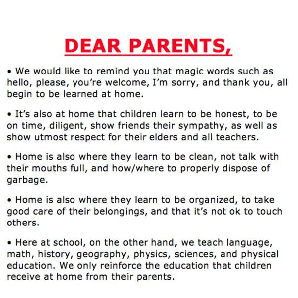 Responsibilities Of Parents Essay Examples
