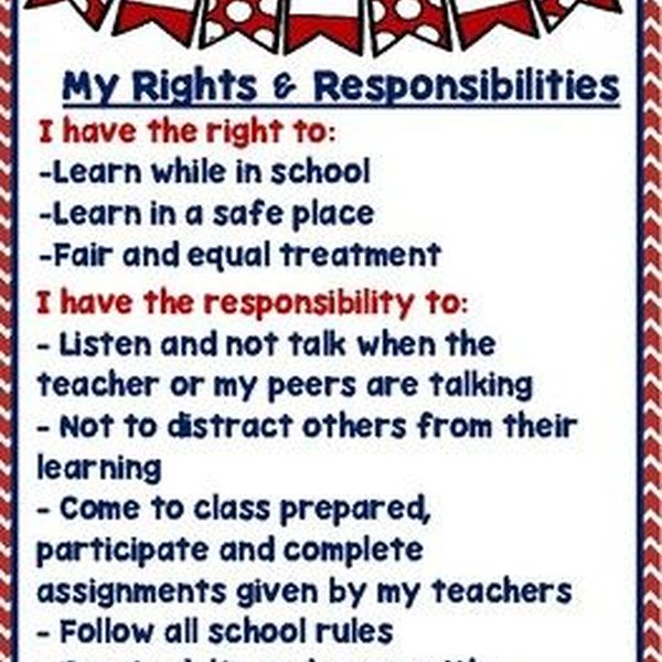 Rights And Responsibilities Of Students Essay Examples