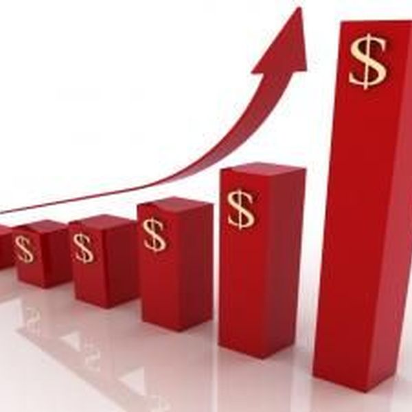 Rising Prices Essay Examples