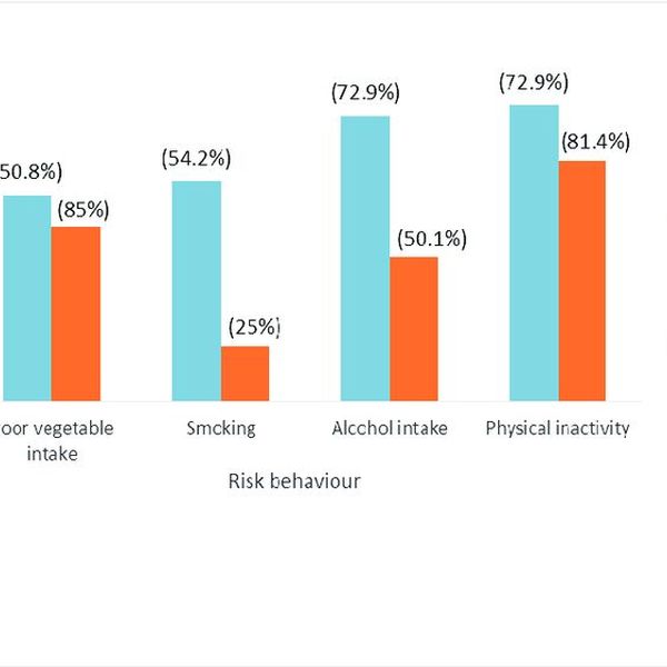 Risk Behaviour Essay Examples