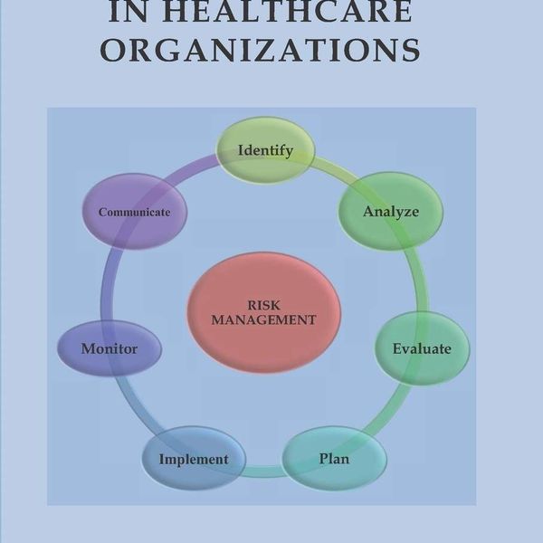 Risk Management In Healthcare Essay Examples