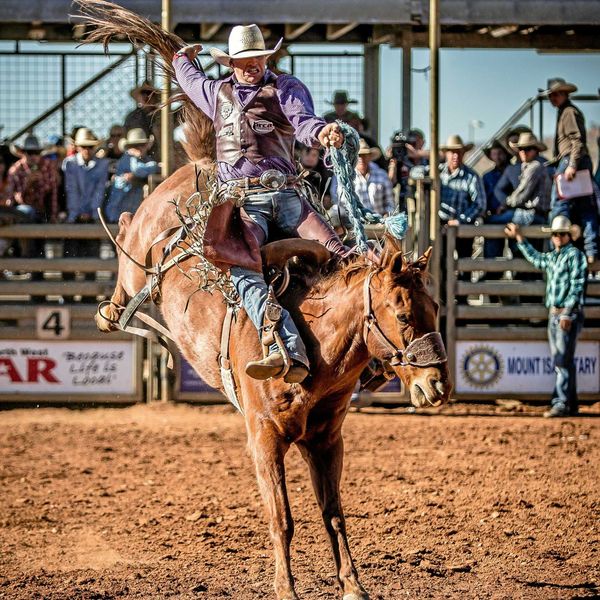 Rodeo Essay Examples