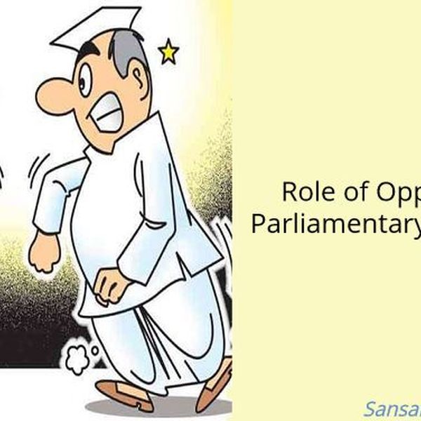 Role Of Opposition In Democracy Essay Examples