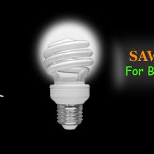 Save Electricity 4 Tomorrow Essay Examples