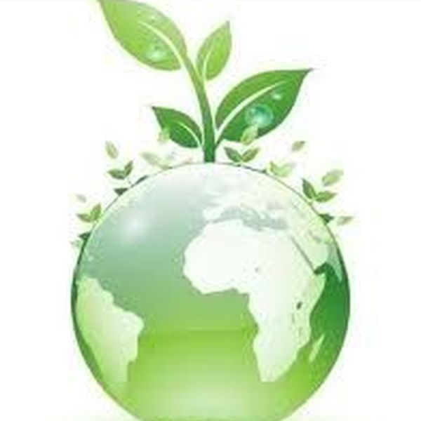 Save Nature For Future Essay Examples