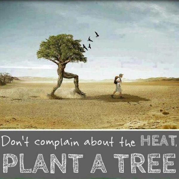 Save Trees Save Mankind Essay Examples