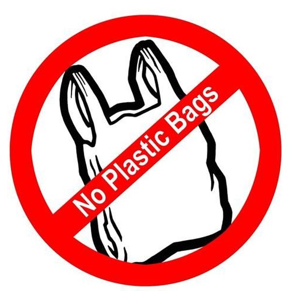 Say No To Polybags Essay Examples