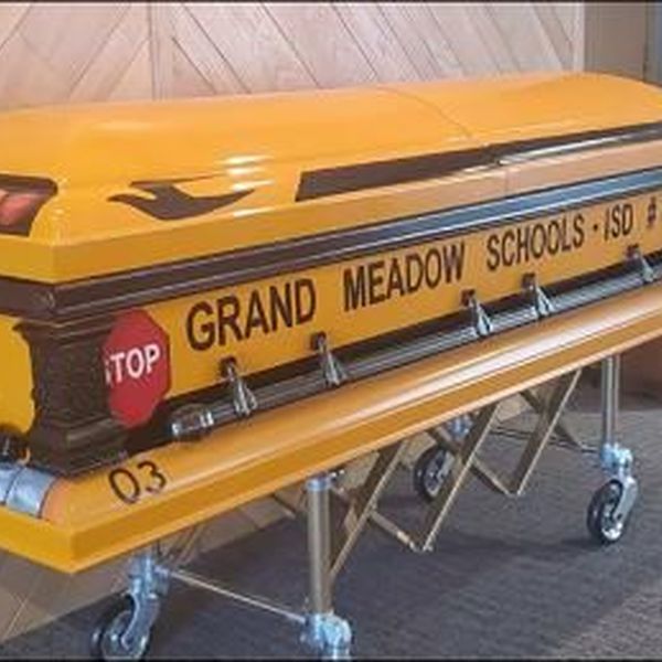 School Bus Driver Essay Examples