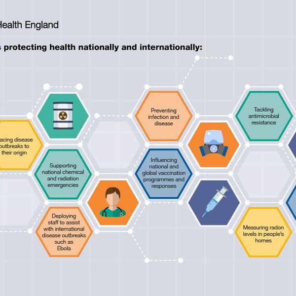 Science And Our Health Essay Examples