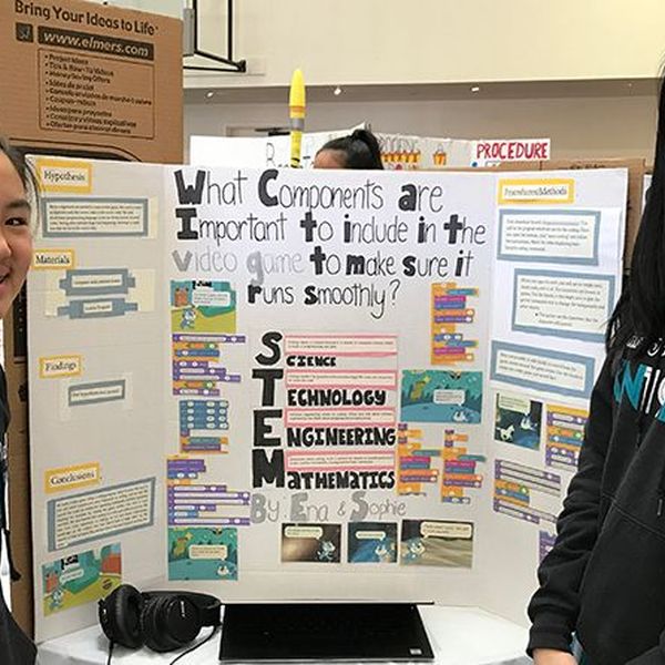 Science Fair In School Essay Examples