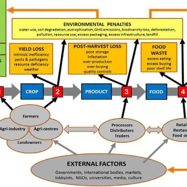 Scope Of Science And Technology Essay Examples
