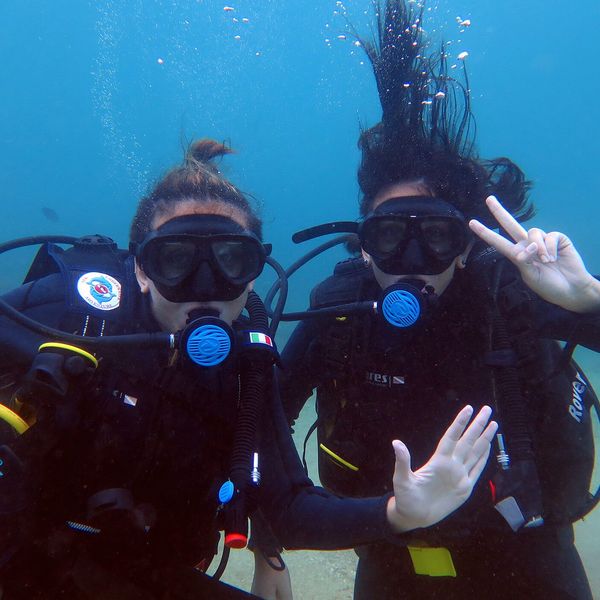 Scuba Diving Essay Examples