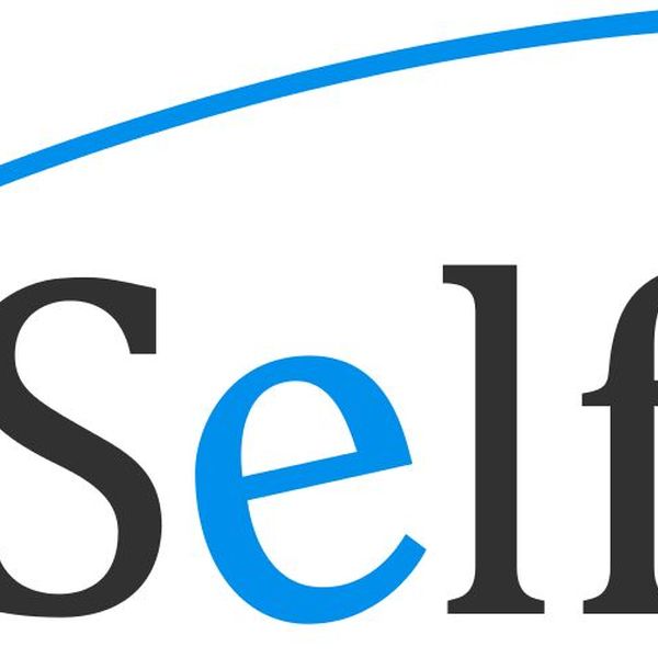 Self Essay Examples