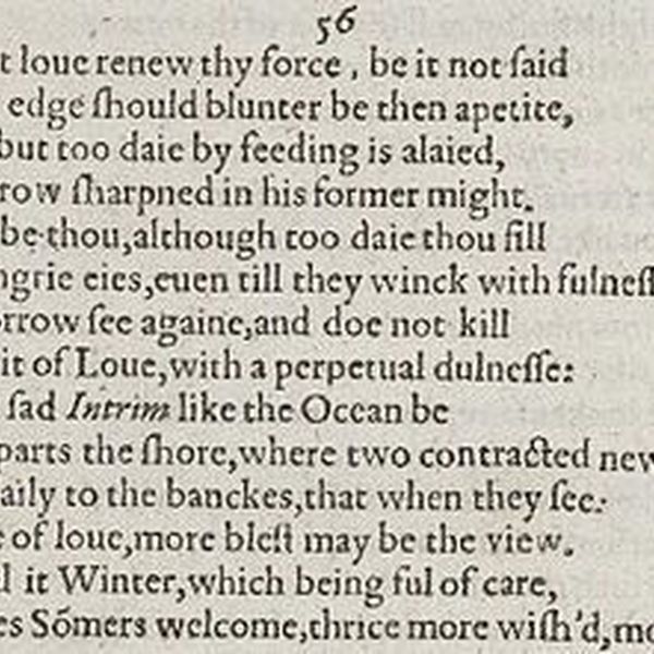 Shakespeare Sonnets Essay Examples
