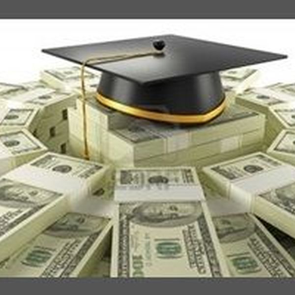 Should Education Be Free Essay Examples