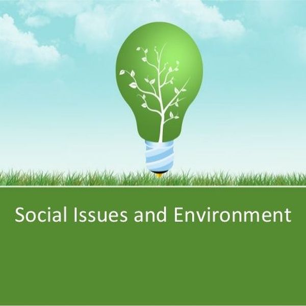 Social Issues And Environment Essay Examples