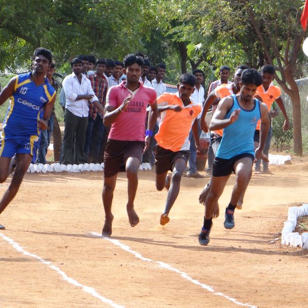 Sports Day Celebration In College Essay Examples