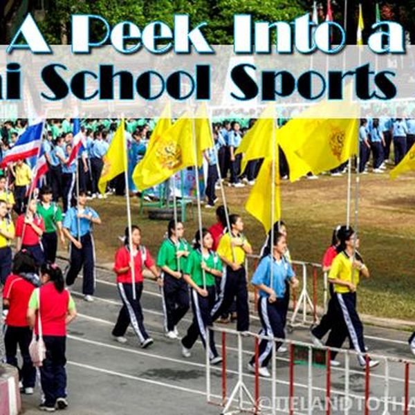 Sports Event In School Essay Examples
