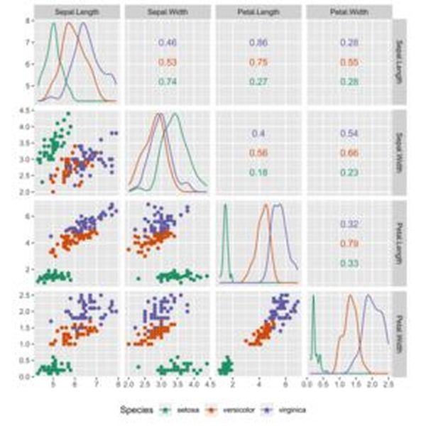 Statistics Essay Examples