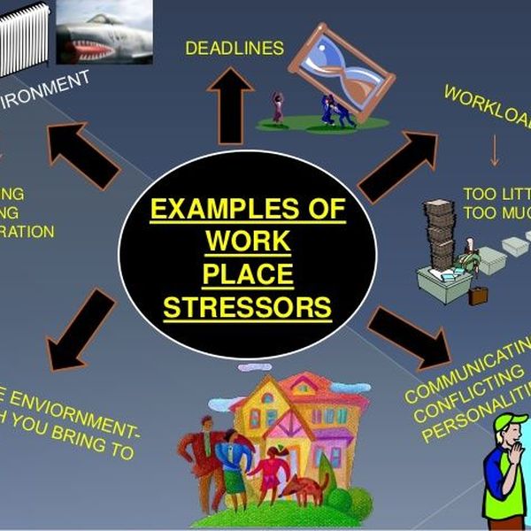 Stress In Daily Life Essay Examples
