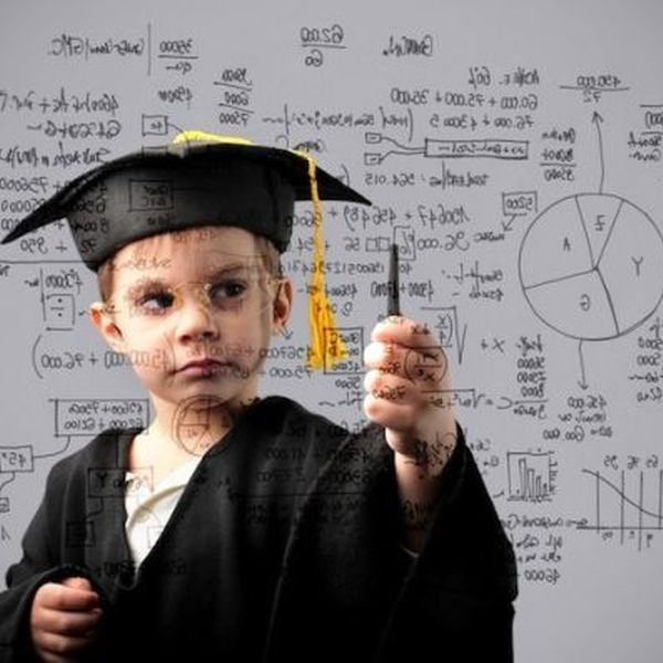 Successful Student Essay Examples