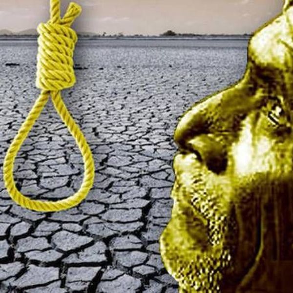 Suicide Of Farmers Essay Examples