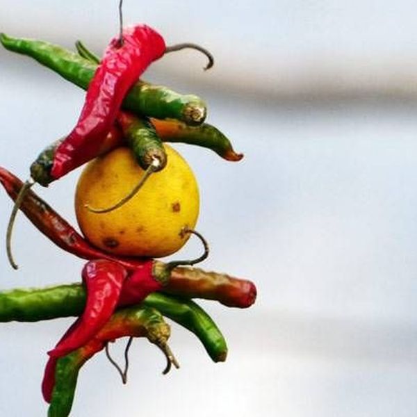 Superstition In India Essay Examples